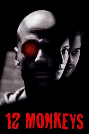 12 Monkeys (1995) Hindi Dual Audio 480p BluRay 400MB 12 Monkeys (1995) Hindi Dual Audio 480p BluRay 400MB