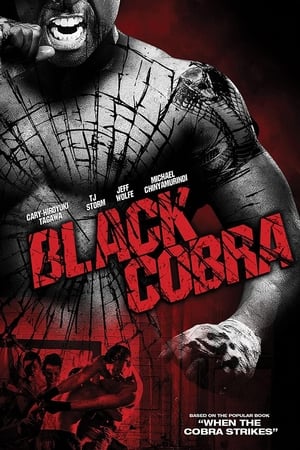 Black Cobra (2012) Hindi Dual Audio 480p BluRay 300MB Black Cobra (2012) Hindi Dual Audio 480p BluRay 300MB