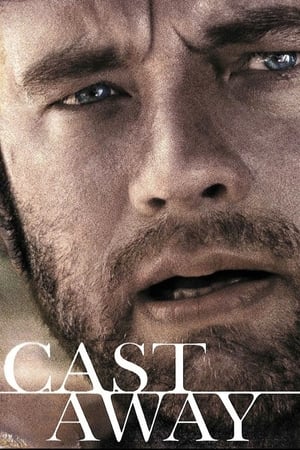 Cast Away 2000 Hindi Dual Audio 480p BluRay 450MB Cast Away 2000 Hindi Dual Audio 480p BluRay 450MB