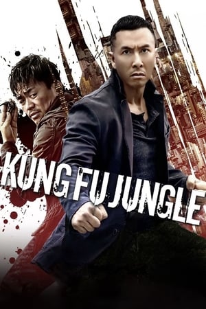 Kung Fu Jungle (2014) Hindi Dual Audio 480p BluRay 300MB Kung Fu Jungle (2014) Hindi Dual Audio 480p BluRay 300MB