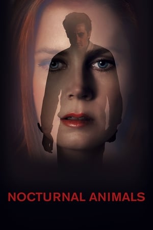 Nocturnal Animals (2016) Hindi Dual Audio 480p BluRay 380MB Nocturnal Animals (2016) Hindi Dual Audio 480p BluRay 380MB