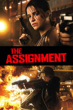 The Assignment (2016) Hindi Dual Audio 480p BluRay 300MB The Assignment (2016) Hindi Dual Audio 480p BluRay 300MB