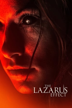 The Lazarus Effect (2015) Hindi Dual Audio 480p BluRay 300MB The Lazarus Effect (2015) Hindi Dual Audio 480p BluRay 300MB