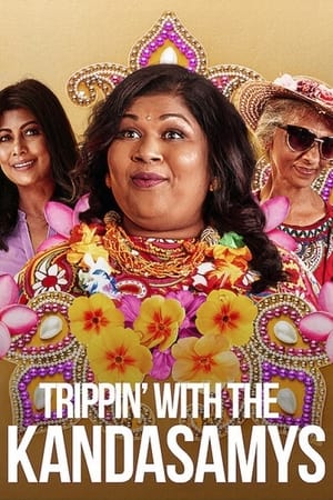 Trippin with the Kandasamys 2021 Hindi Dual Audio 480p Web-DL 300MB Trippin with the Kandasamys 2021 Hindi Dual Audio 480p Web-DL 300MB